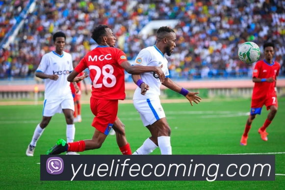 世界杯开户平台平台生态图