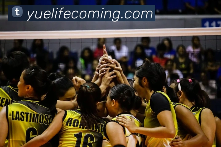 世界杯开户平台全站App